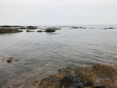 -青岛海景花园大酒店