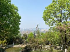 -铁山坪森林公园