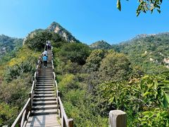 -大岭沟猕猴桃谷风景区