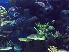 -多彩贵州城极地海洋世界