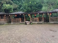-天门沟九州驿站树上汤泉