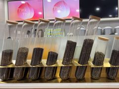 -雾与山茶(大禹城店)