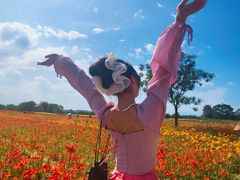 -汉长安城未央宫国家考古遗址公园