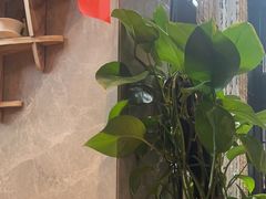 -了凡国风主题茶馆·咖啡(武侯祠锦里店)