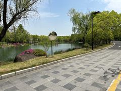 -苏州金鸡湖大酒店