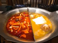 台式麻辣花胶鸡鸳鸯锅-湊湊火锅·茶憩(世博大道店)