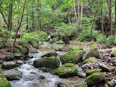 -香炉山国家森林公园