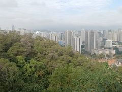 -金鸡山公园