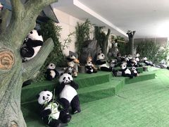 -成都泰迪熊博物馆