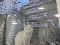 -北京地坛口腔门诊部