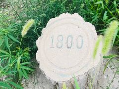 -鬼笑石后山停车场