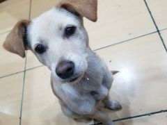 -故乡明太鱼屋(航北路店)