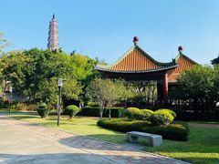 -顺峰山公园