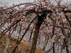 -白塘生态植物园