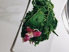 -鱼米滔中山脆肉鲩火锅(中南阳光城店)
