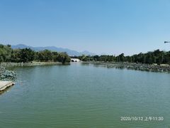 -飞来湖湿地公园