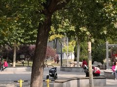 -芍药居北里