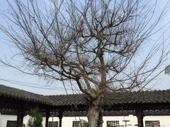 -泰州凤城河风景区-泰山公园