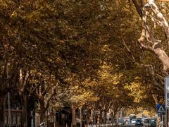 -浙江大学(玉泉校区)