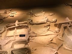 -洛阳周王城天子驾六博物馆