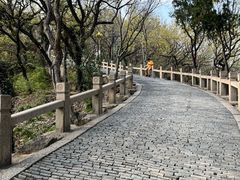 -灵岩山风景区