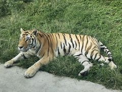 -西安秦岭野生动物园