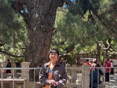 -潭柘寺景区