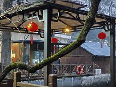 -天怡·鱼工厂(梅溪湖店)