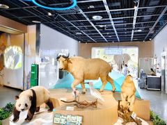 -陕西自然博物馆