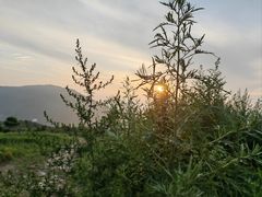 -妙峰山风景名胜区