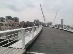 -映月湖中央公园