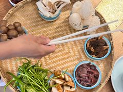 -菌自由丨野生菌火锅特色庭院餐厅(丽江古城店)