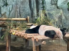 -深圳野生动物园