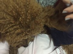 -扬州喜满客国际影城(京华城店)