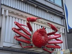 -蟹道乐(道顿堀本店)