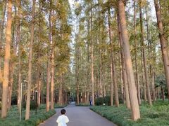 -上海怡沁园度假酒店