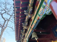 -护国法轮寺
