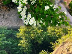 -北京凤凰岭