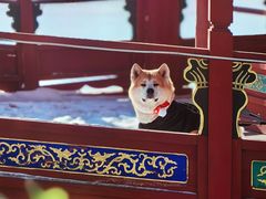 -盛世南宫影视城(北普陀影视城)