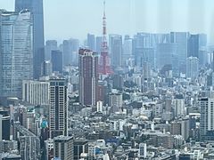 -六本木新城展望台(东京城市景观)