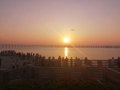 -宝安西湾红树林湿地公园