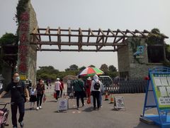 -塘沽森林公园