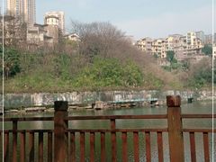 -重庆彩云湖湿地公园