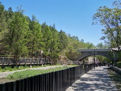 -白水寺森林公园