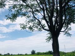 -汉长安城未央宫国家考古遗址公园