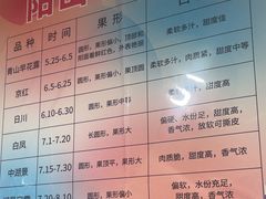 -老袁家蜜桃农场·阳山水蜜桃