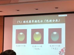 -北京七彩云南翡翠珠宝旗舰店(月坛店)