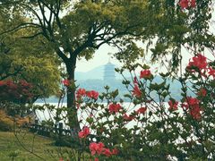 -杭州西湖柳莺里酒店·闻莺厅