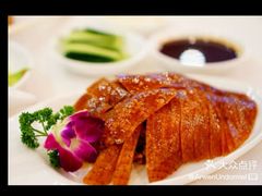 -九花山烤鸭店