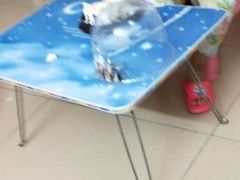 -甜心贝拉(西平路店)